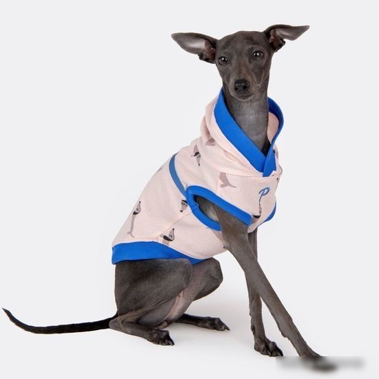 Футболка Puppia Sammy с капюшоном PAWA-TS1949-IP-M (розовый)