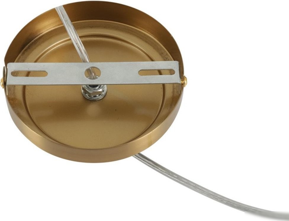 Подвесная люстра Lumion Vermont 8275/1A
