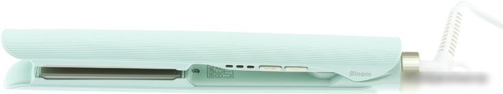 Выпрямитель Dewal Beauty Bloom HI2080 (зеленый)