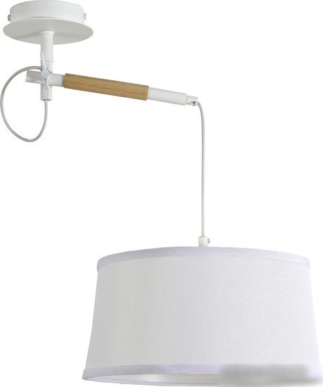 Подвесная люстра F-Promo Eureka 3005-1P