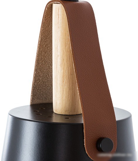 Светильник Arte Lamp Thomas A7032SP-1BK