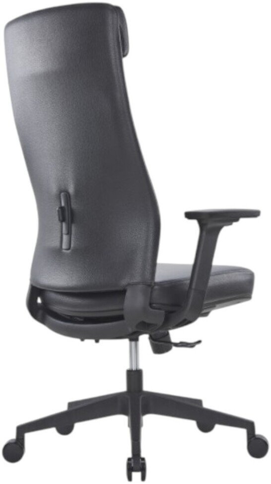 Офисное кресло SitZone CH-366A (натуральная кожа, черный)