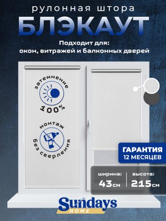 Рулонные шторы Sundays Home LM 167-01 43х215 (белый)