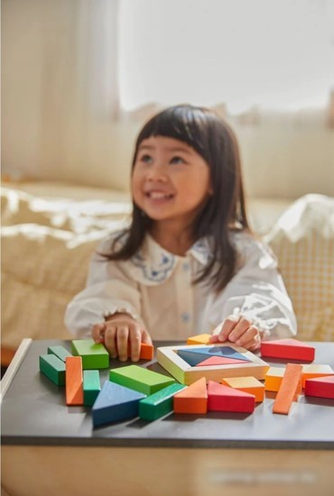 Конструктор/игрушка-конструктор Plan Toys Блоки Геометрия 5467
