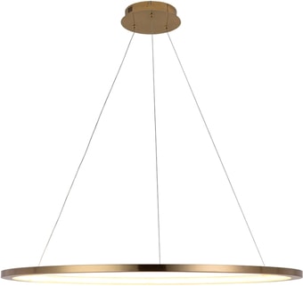 Подвесная люстра LOFT IT Ring 10014XL