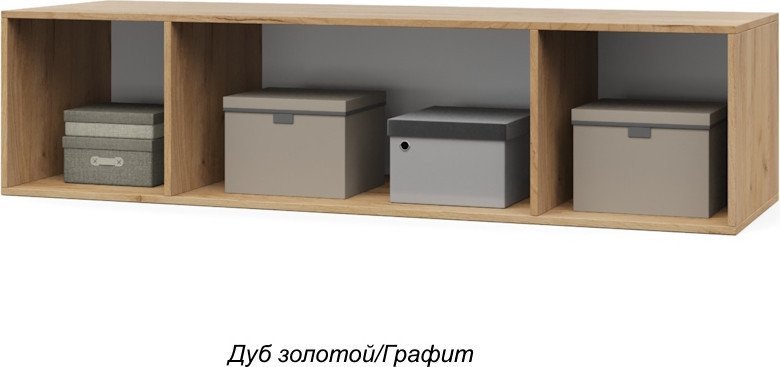 Шкаф распашной Modern Челси Ч84 (золотой дуб/графит)