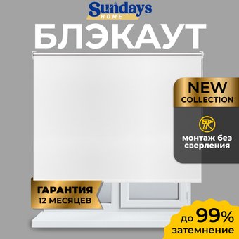 Рулонные шторы Sundays Home LM 167-01 110х160 (белый)