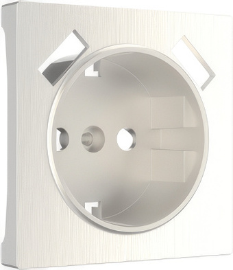Накладка для розетки Werkel W1179513 a051189 (перламутровый рифленый)