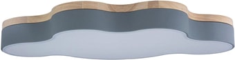 Люстра-тарелка LOFT IT Axel 10005/36 Grey