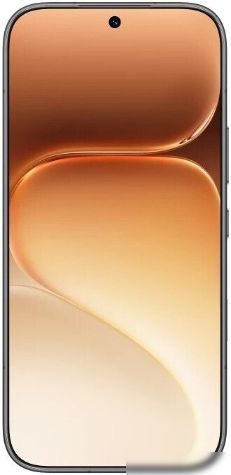 Телефон HONOR 600 Pro Dual SIM 12GB/256GB международная версия (черный)