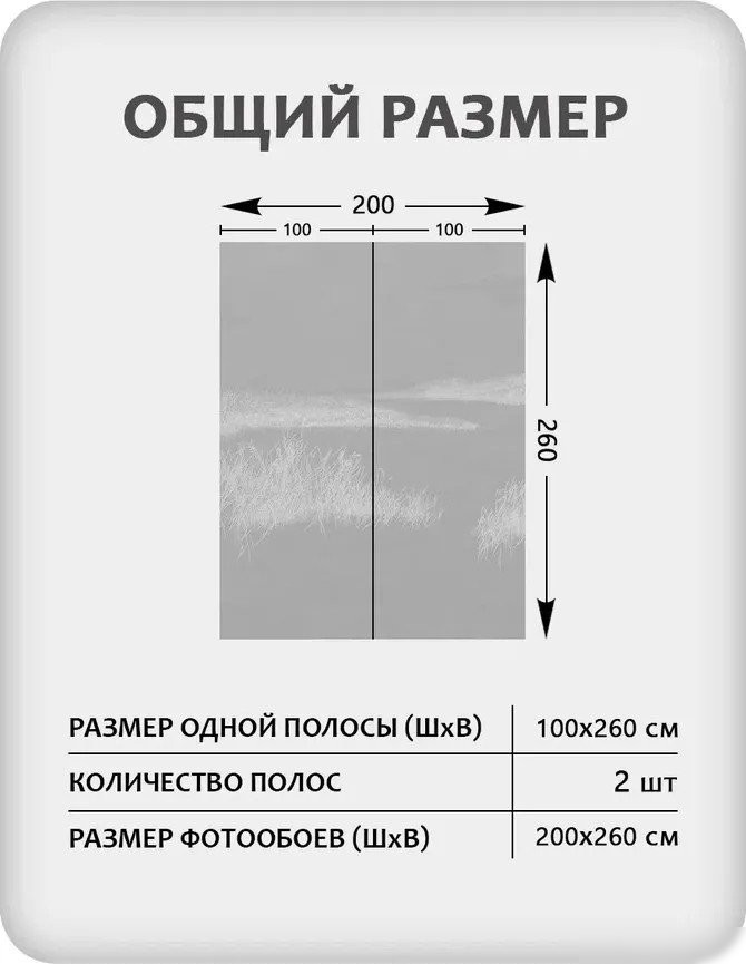 Фотообои Mio Tesoro Невесомость 61 (200x260)