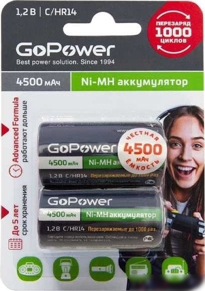 Аккумулятор GoPower 00-00018322