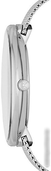 Наручные часы Skagen SKW2561