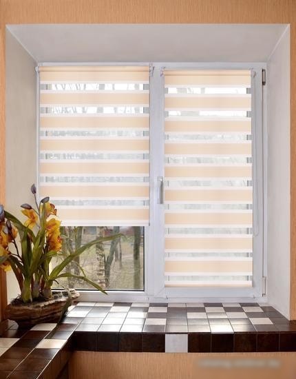 Шторы день-ночь Lm Decor Грация ДН LB 10-14 100x160