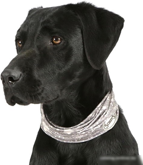Шлейка Scruffs Insect Shield Dog Snood 937102 (серый)