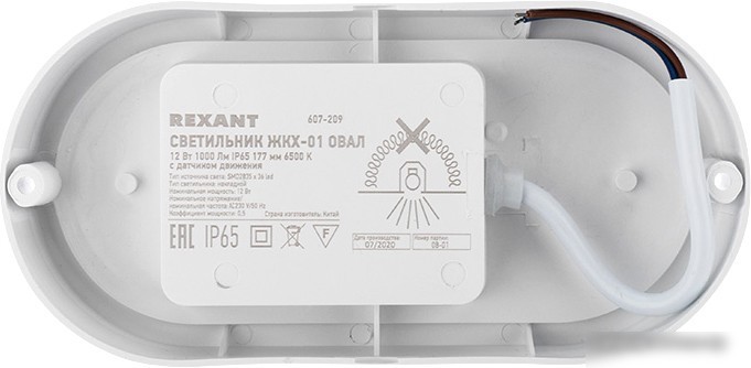 Уличный настенный светильник Rexant 607-209