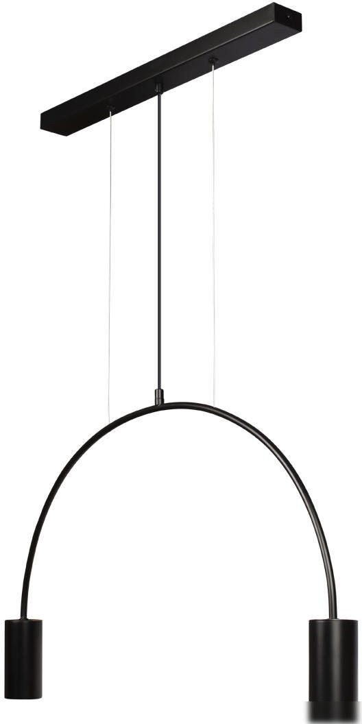 Подвесная люстра LOFT IT Volta 5044-2