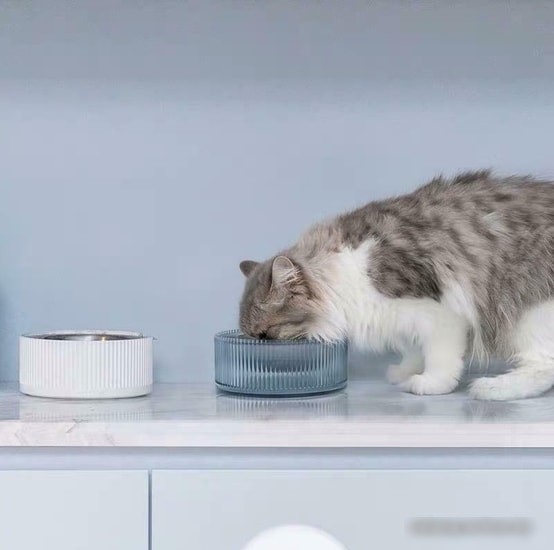 Миска Furrytail Antibacterial Stainless Steel Cat Bowl (голубой)