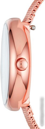 Наручные часы Skagen SKW2593