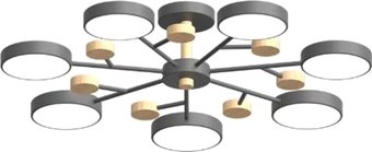 Припотолочная люстра LED4U L3205-800 GR