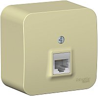 Розетка компьютерная Systeme Electric Blanca BLNIA045007