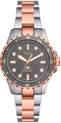 Наручные часы Fossil ES5348