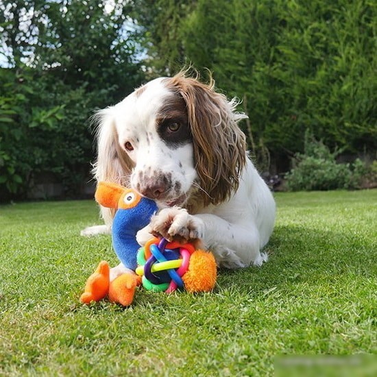 Игрушка для собак Rosewood Jolly Doggy Tough Multi Texture Flamingo 39030