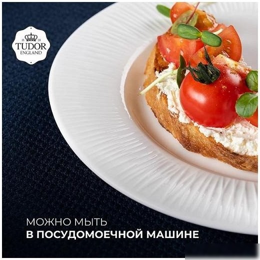 Тарелка обеденная Tudor England TU2998-1