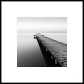 Картина Stamprint Природа 1 BW001 (50x50)