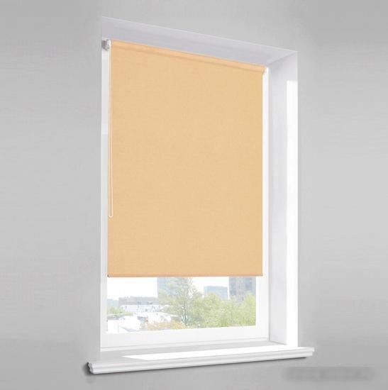 Рулонные шторы Lm Decor Лайт LM 30-10С 140x170