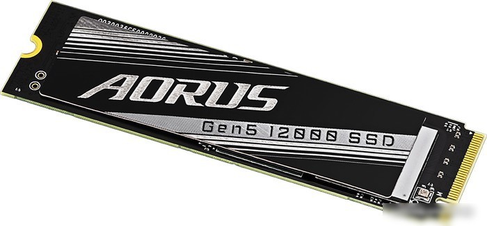 SSD Gigabyte Aorus Gen5 12000 1TB AG512K1TB