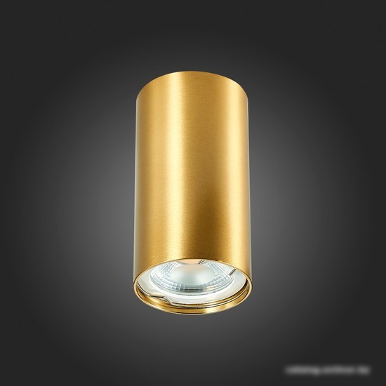 Подвесная люстра ST Luce ST110.207.01