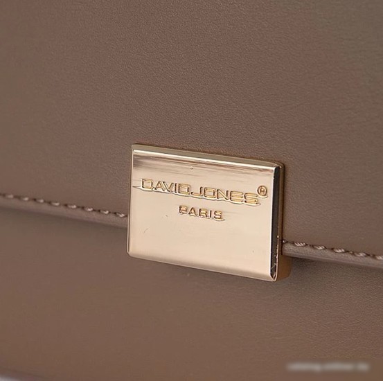 Женская сумка David Jones 823-CM6727-TAP (коричневый)