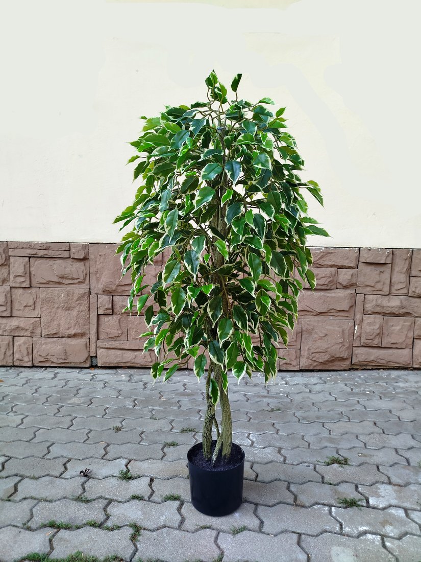 Искусственное растение Forgarden Ficus Benjamin Natural BN11271