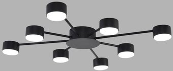 Припотолочная люстра Lumion Torina 8344/8C