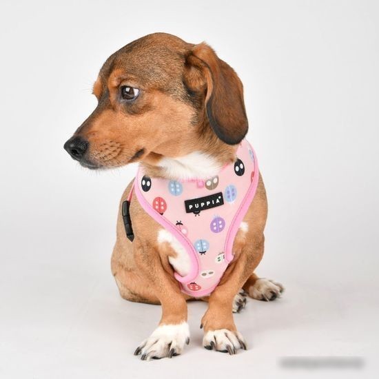 Шлейка-жилетка Puppia Lady Beetle-A PAWA-HA1957-PK-XL (розовый)