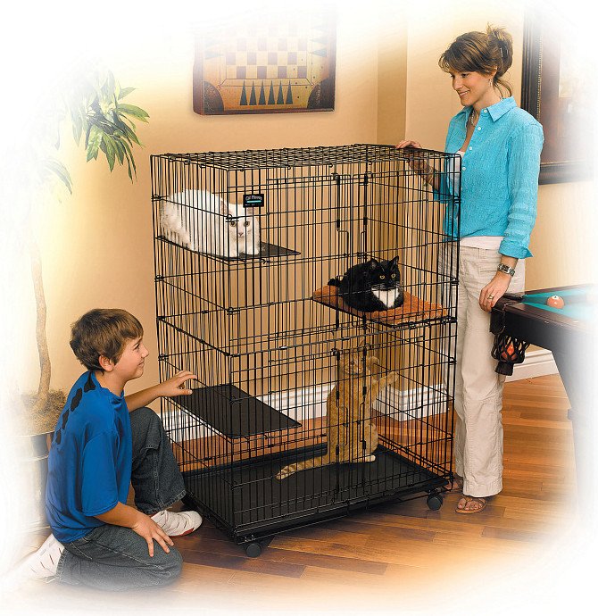 Клетка Midwest Cat Playpens для кошек 91x60x128см