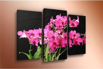 Модульная картина Arthata m-000306 120x80