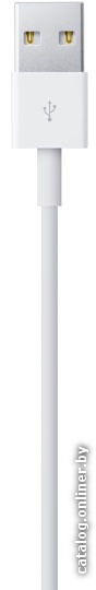 Кабель Apple Lightning to USB 0.5 м (белый) [ME291ZM/A]