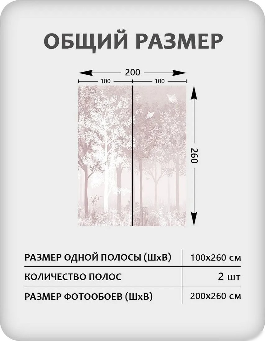 Фотообои Citydecor Таинственный лес 32 (200x260см)