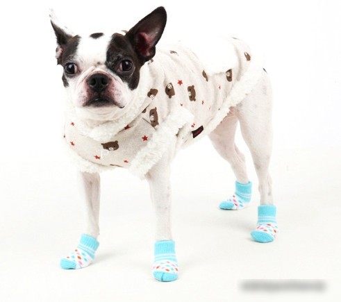 Носочки для животных Puppia Polka Dot II PAOC-SO1269-SB-S (голубой)