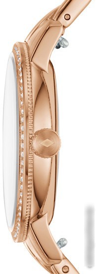 Наручные часы Fossil ES4288