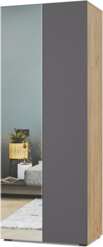 Шкаф распашной Modern Челси Ч21 (золотой дуб/графит)