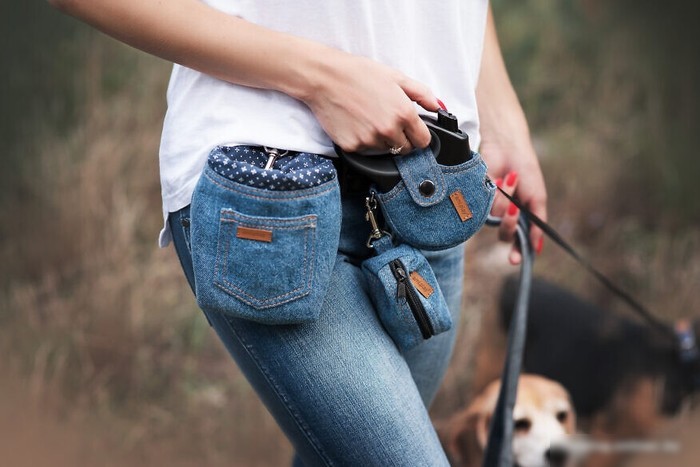 Сумка для лакомств Amiplay Denim 271746 (голубой)