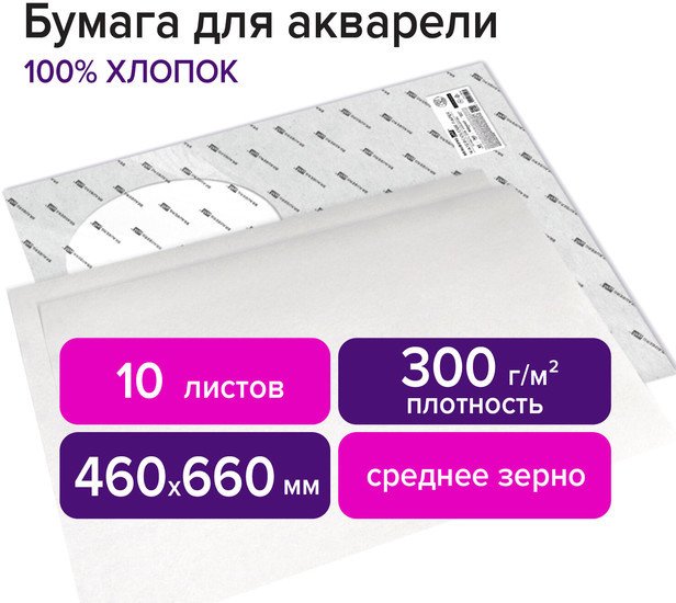 Набор бумаги для рисования BRAUBERG Art Premiere 113231 (10 л)