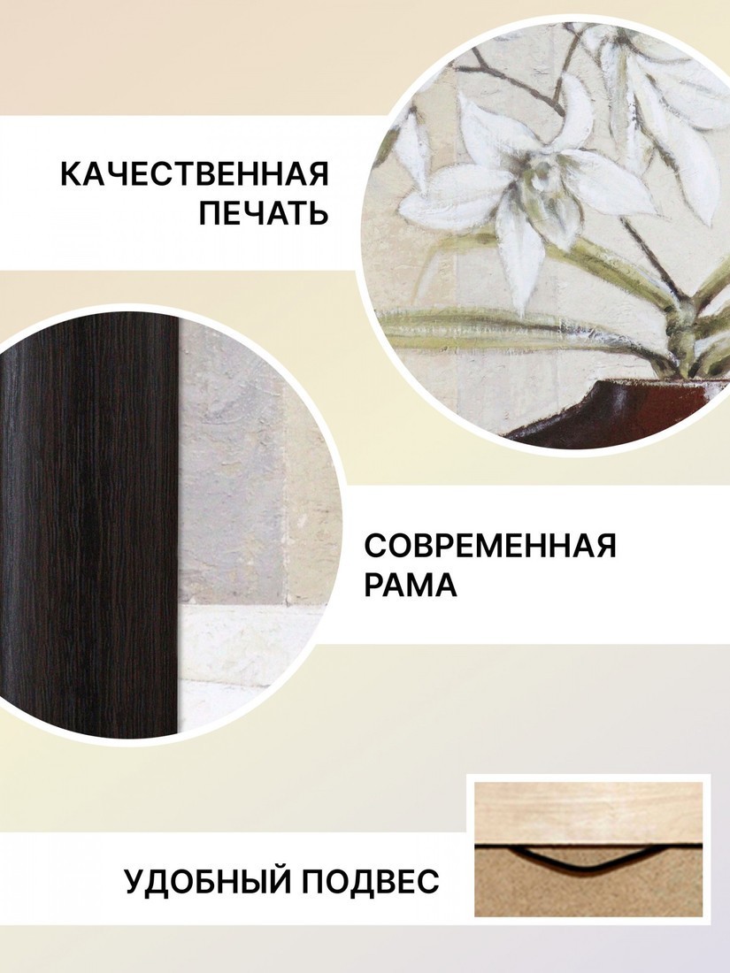 Картина Декарт 8Л0336