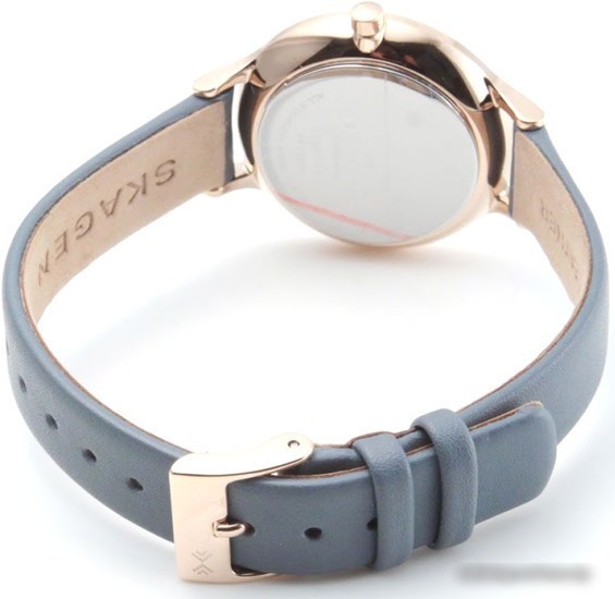 Наручные часы Skagen SKW2497