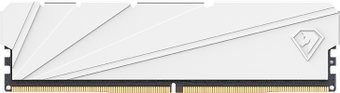 Оперативная память Netac Shadow S 8ГБ DDR4 3600 МГц NTSSD4P36SP-08W