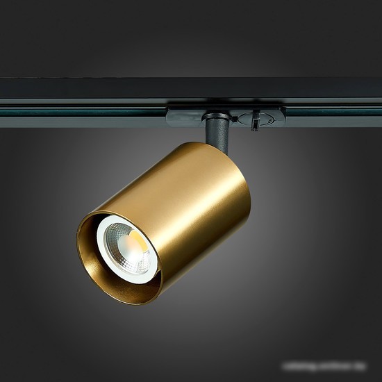 Светильник ST Luce ST302.206.01