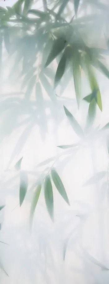 Фотообои Mio Tesoro Цветы и Растения 153 (100x260)